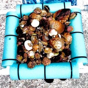 Hand Made Beach Sand, rock, Shell Sifter